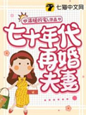 六零再婚夫妻